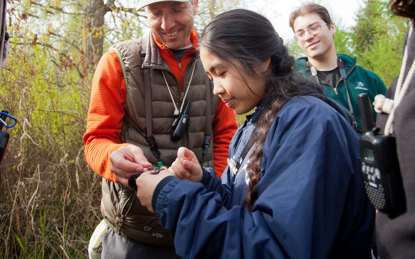VIU SRCS Bird Branding Research